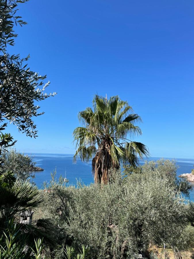 Sea View Apartment Sveti Stefan Kültér fotó